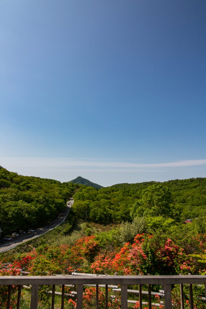 見晴山展望台　6/10撮影