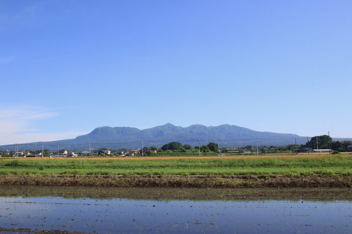 6月2日(金)　AM 7:25　前橋市大前田町