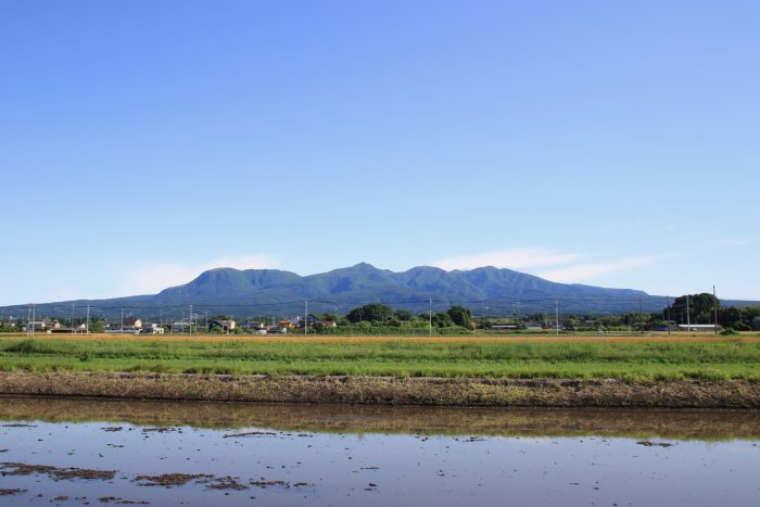 6月3日(土)　AM 7:12　前橋市大前田町