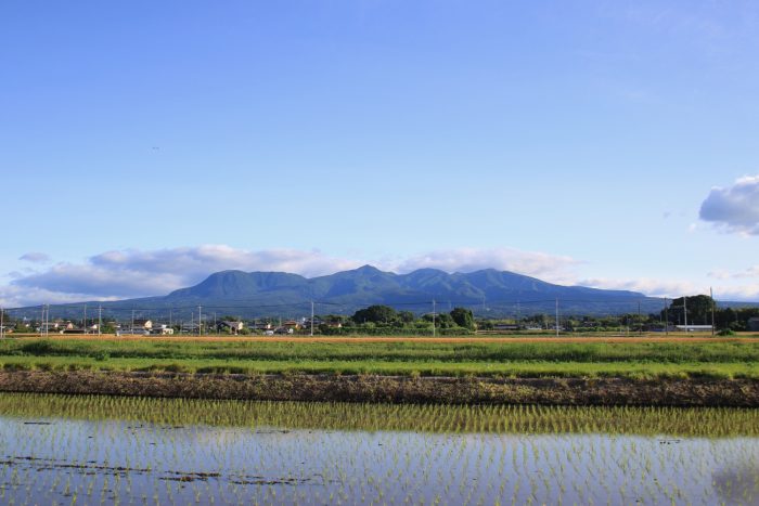 6月4日(日)　AM 6:09　前橋市大前田町