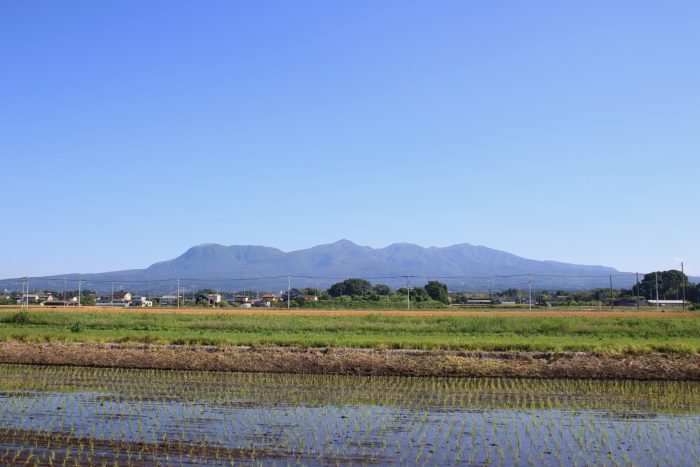 6月5日(月)　AM 7:31　前橋市大前田町