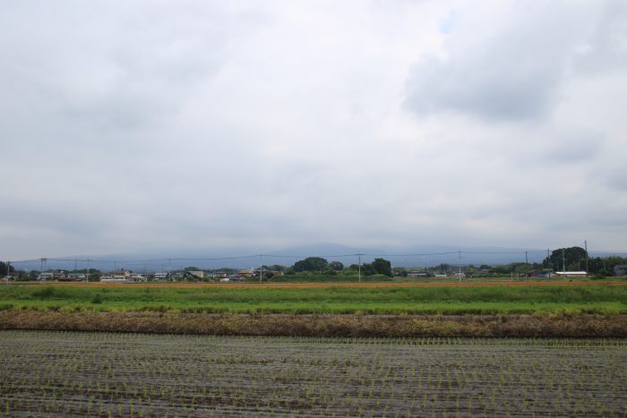 6月6日(火)　AM 7:37　前橋市大前田町