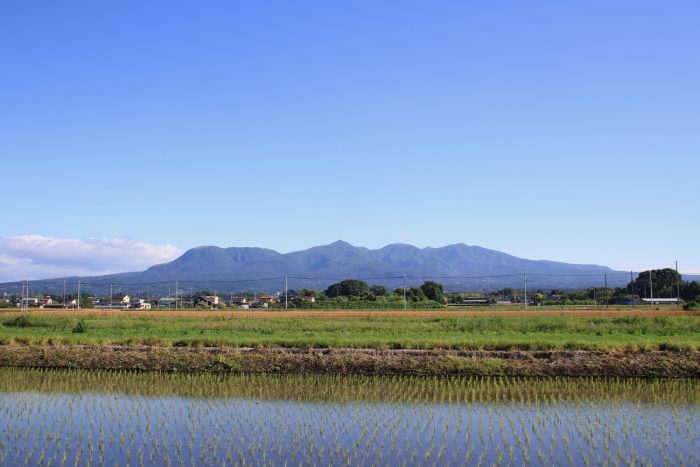 6月12日(月)　AM 7:18　前橋市大前田町