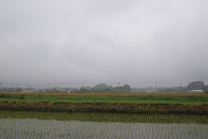 6月13日(火)　AM 7:21　前橋市大前田町