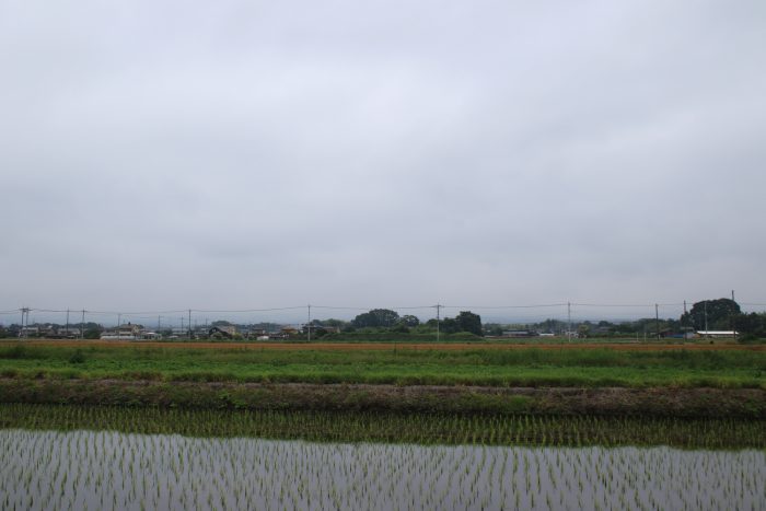 6月15日(木)　AM 7:22　前橋市大前田町