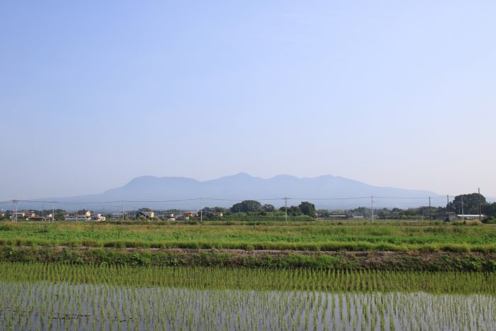 6月20日(火)　AM 7:19　前橋市大前田町