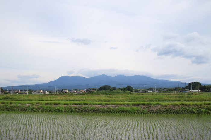 6月22日(木)　AM 7:34　前橋市大前田町