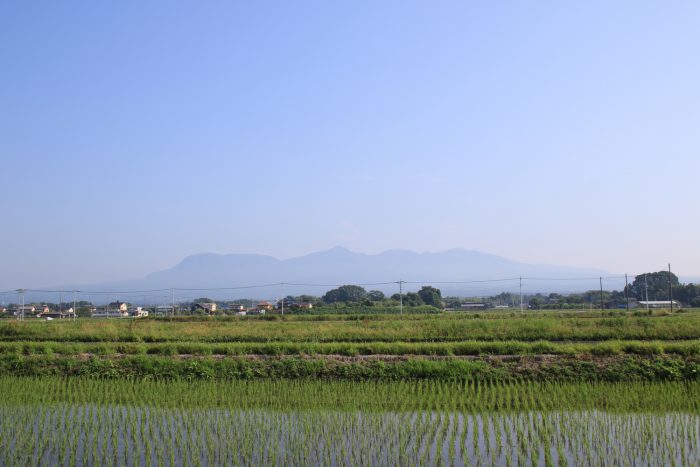 6月23日(金)　AM 8:17　前橋市大前田町