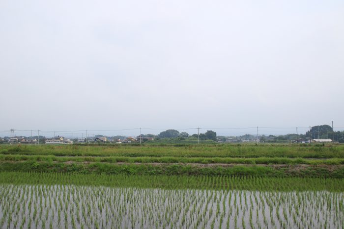 6月24日(土)　AM 8:17　前橋市大前田町