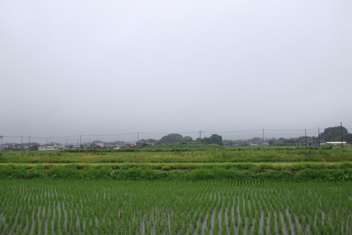 7月1日(土)　AM 9:37　前橋市大前田町