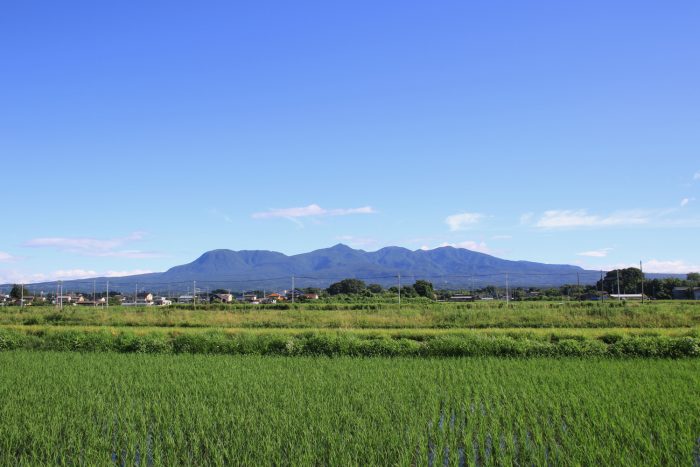 7月5日(水)　AM 7:24　前橋市大前田町