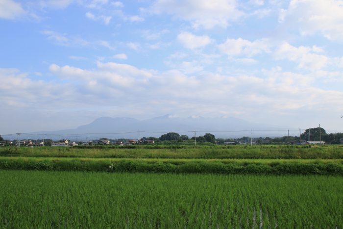 7月6日(木)　AM 6:30　前橋市大前田町