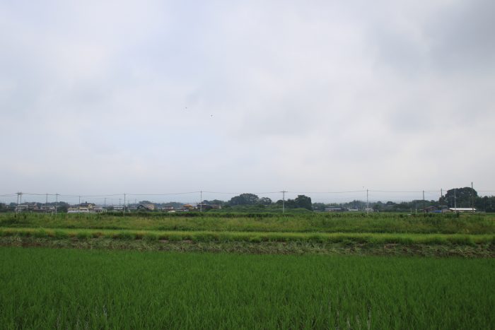 7月7日(金)　AM 7:28　前橋市大前田町