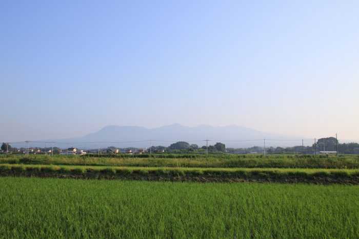 7月8日(土)　 AM 6:13　前橋市大前田町