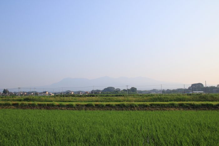 7月9日(日)　AM 6:16　前橋市大前田町