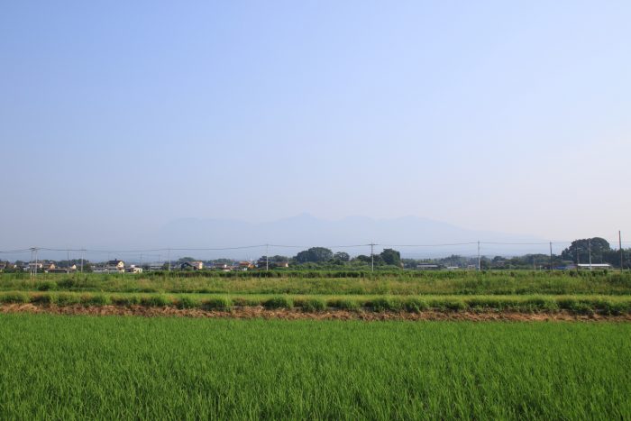 7月10日(月)　AM 7:20　前橋市大前田町