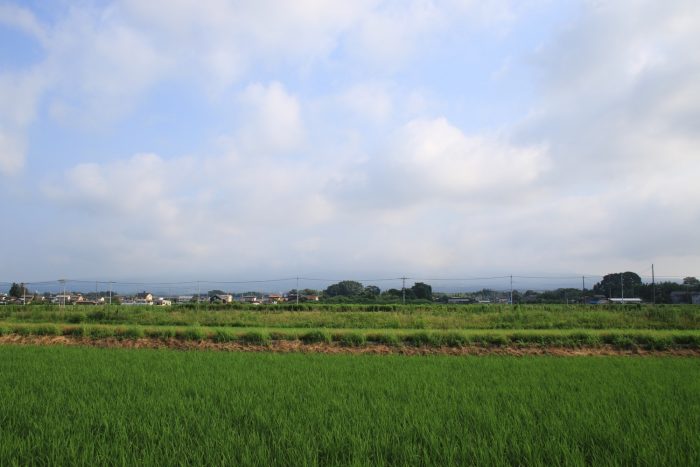 7月11日(火)　AM 7:22　前橋市大前田町