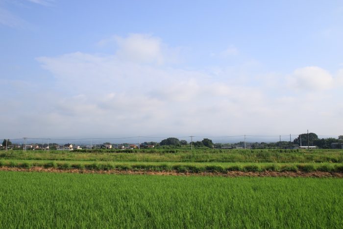 7月12日(水)　AM 7:25　前橋市大前田町