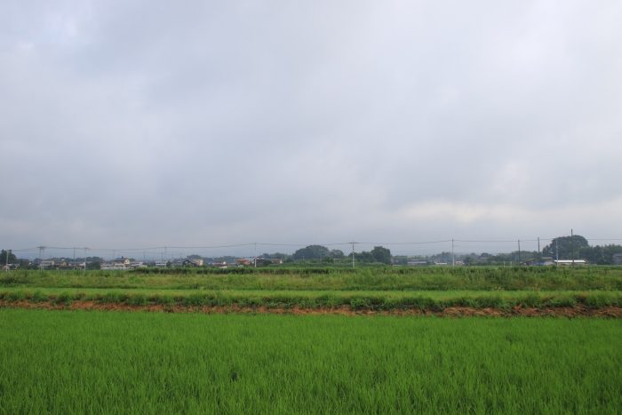 7月13日(木)　AM 7:23　前橋市大前田町