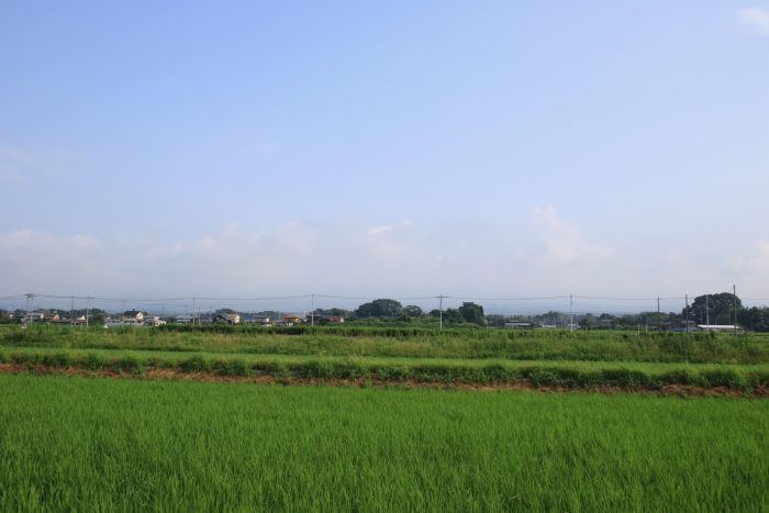 7月14日(金)　AM 7:26　前橋市大前田町