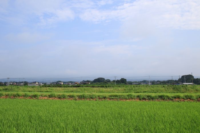 7月15日(土)　AM 8:19　前橋市大前田町