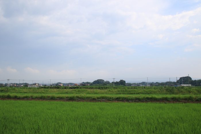 7月18日(火)　AM 7:22　前橋市大前田町