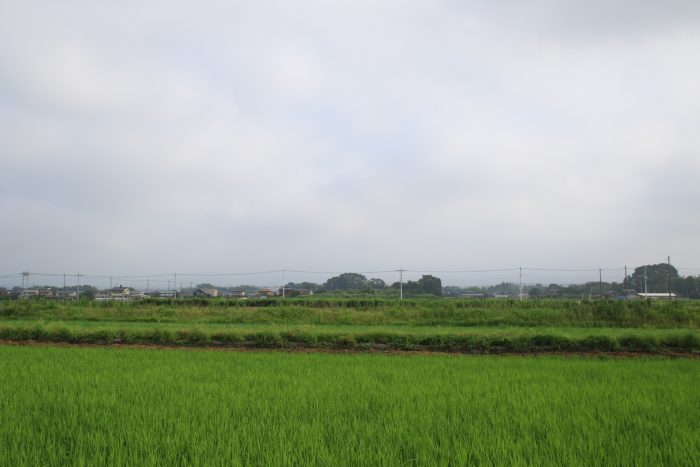 7月19日(水)　AM 7:26　前橋市大前田町