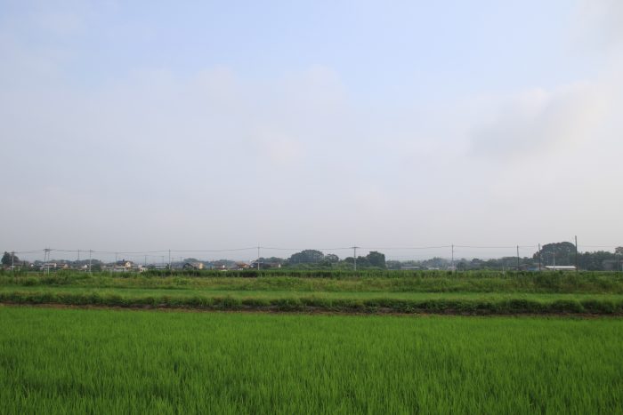 7月20日(木)　AM 7:24　前橋市大前田町