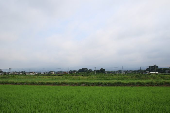 7月22日(土)　AM 7:33　前橋市大前田町