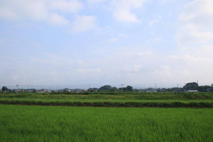 7月21日(金)　AM 7:26　前橋市大前田町