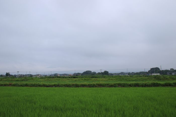 7月24日(月)　AM 7:26　前橋市大前田町