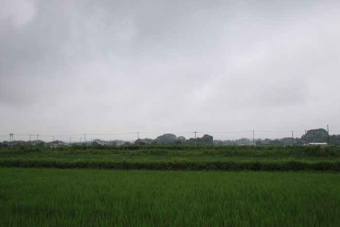 7月27日(木)　AM 7:14　前橋市大前田町