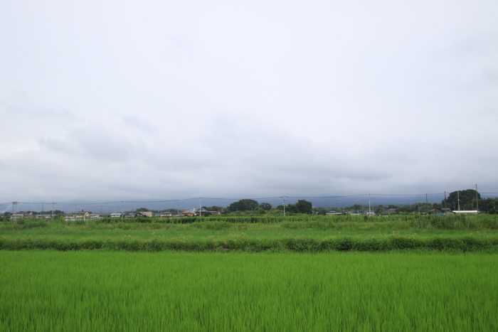 7月30日(日)　AM 10:47　前橋市大前田町