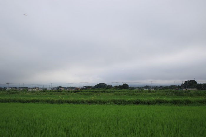 7月31日(月)　AM 7:20　前橋市大前田町