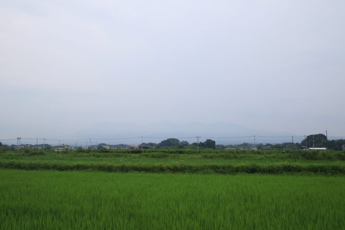 8月1日(火)　AM 7:28　前橋市大前田町