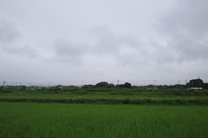 8月2日(水)　AM 7:27　前橋市大前田町