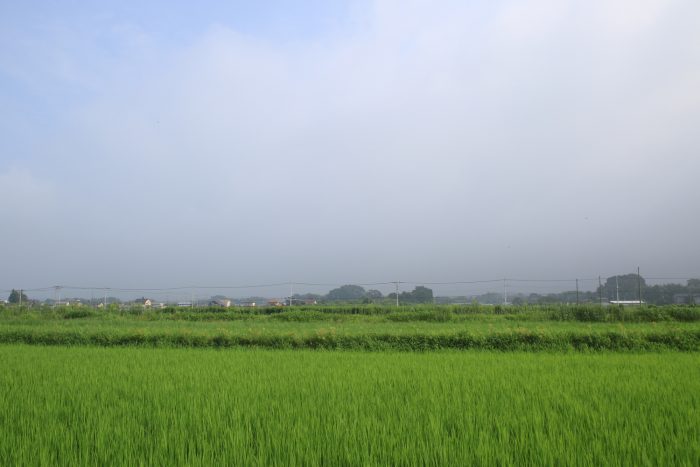 8月5日(土)　AM 7:31　前橋市大前田町