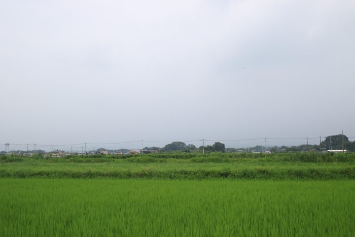 8月6日(日)　PM 0:22　前橋市大前田町