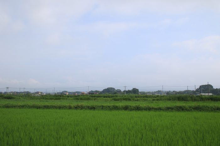 8月7日(月)　AM 7:30　前橋市大前田町