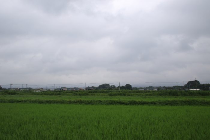 8月8日(火)　AM 7:23　前橋市大前田町