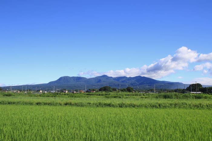 8月9日(水)　AM 7:55　前橋市大前田町