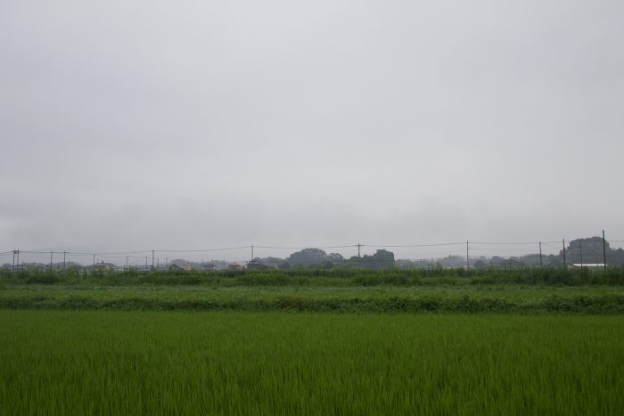 8月10日(木)　AM 7:22　前橋市大前田町