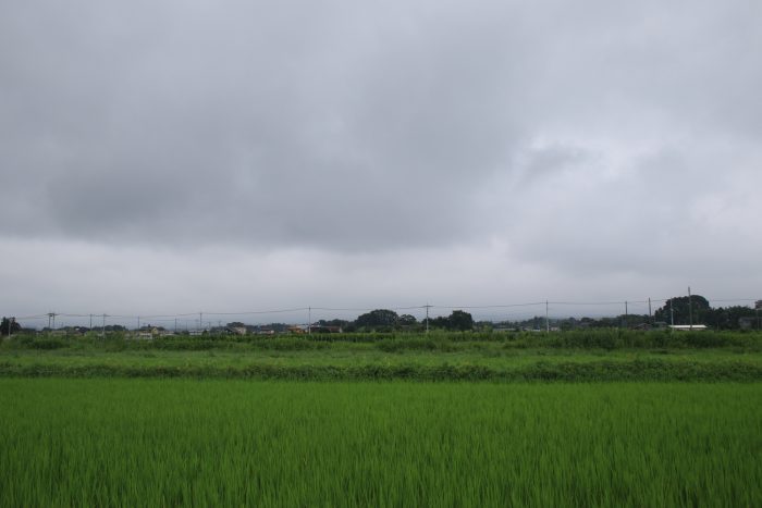 8月11日(金)　PM 0:34　前橋市大前田町