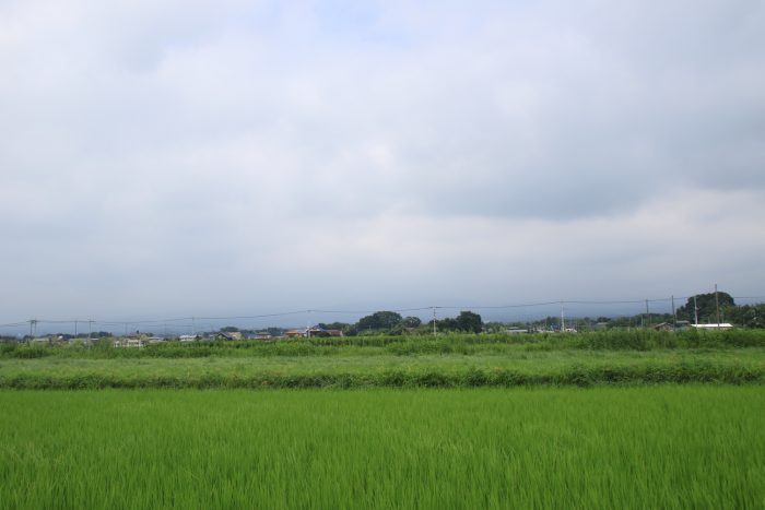 8月12日(土)　PM 1:04　前橋市大前田町