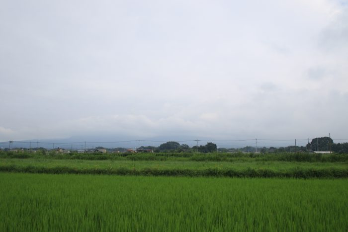 8月13日(日)　AM 8:26　前橋市大前田町