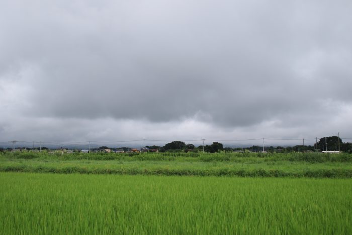 8月14日(月)　AM 10:05　前橋市大前田町