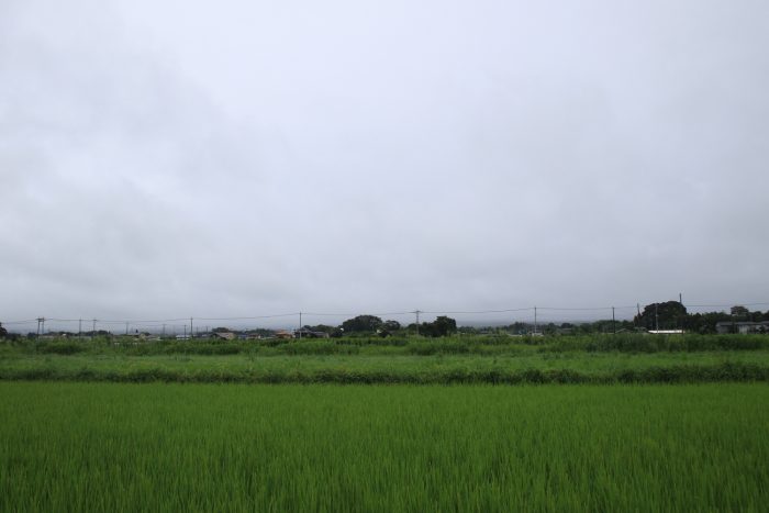 8月15日(火)　AM 11:05　前橋市大前田町