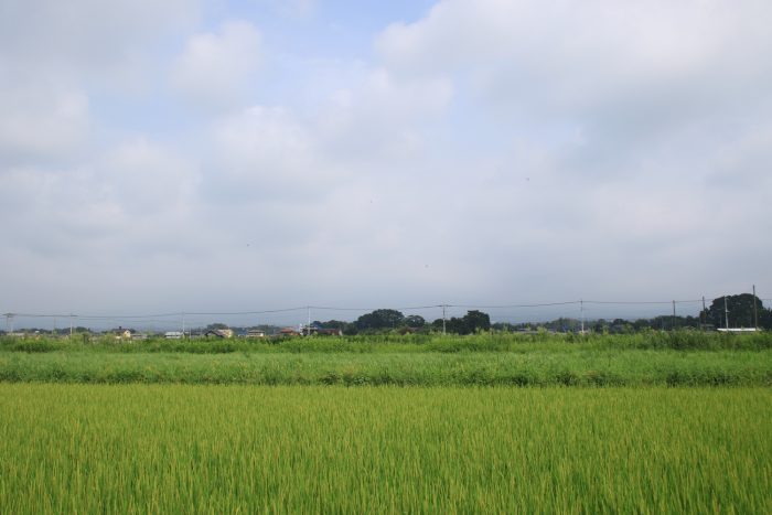 8月19日(土)　AM 9:51　前橋市大前田町