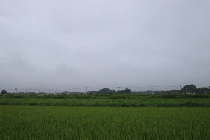 8月20日(日) AM 8:13 前橋市大前田町