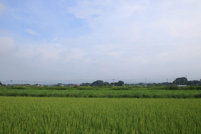 8月22日(火)　AM 7:26　前橋市大前田町